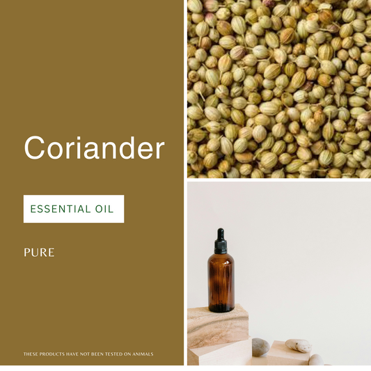 Coriander Seed Essential Oil