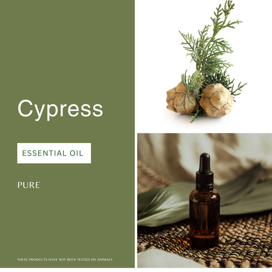 Cypress Essential Oil