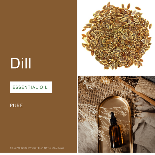 Dill Essential Oil