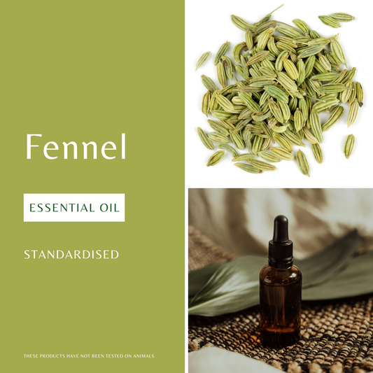 Fennel Essential Oil