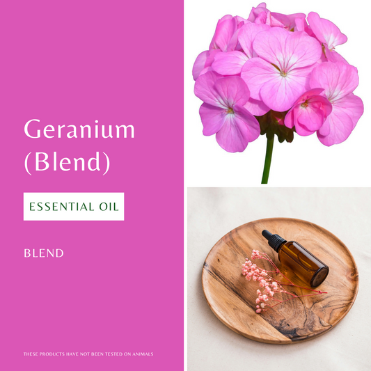 Geranium Essential Oil (Blend)