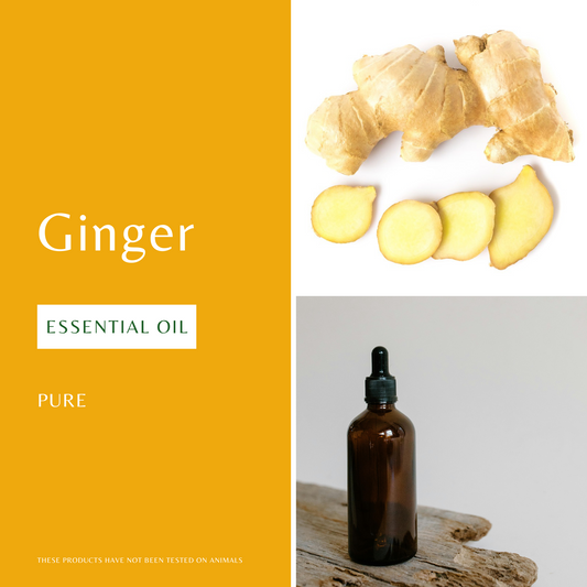 Ginger Essential Oil