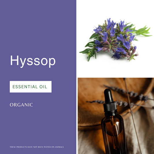 Hyssop Essential Oil