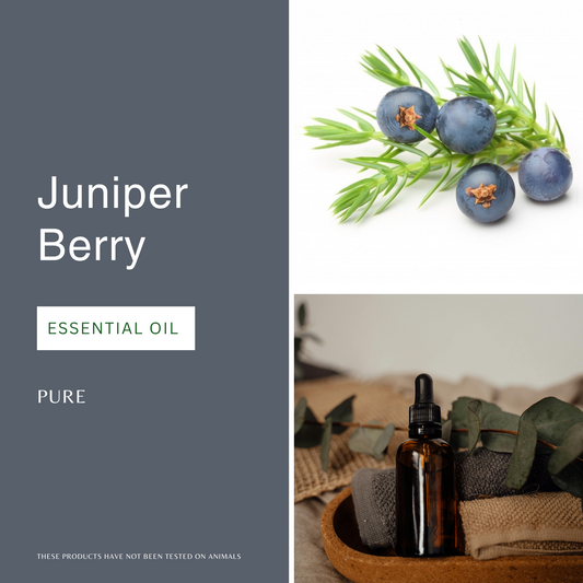 Juniper Berry Essential Oil