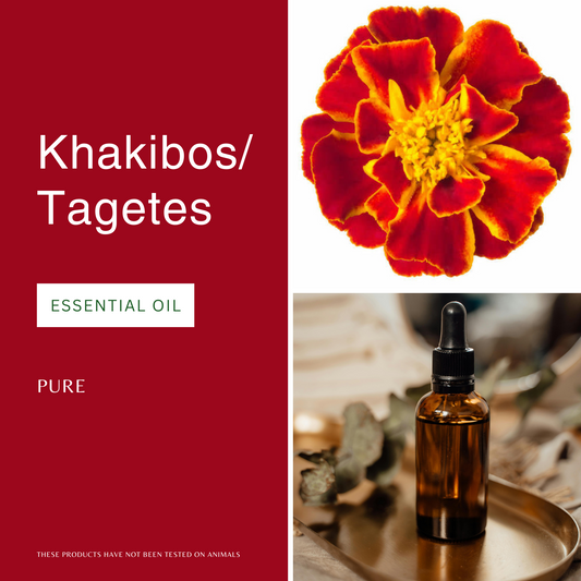 Khakibos/Tagetes Essential Oil