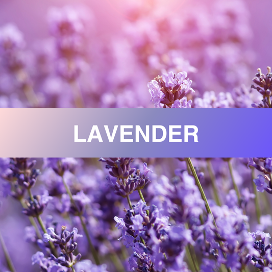 Lavender Fragrance Oil