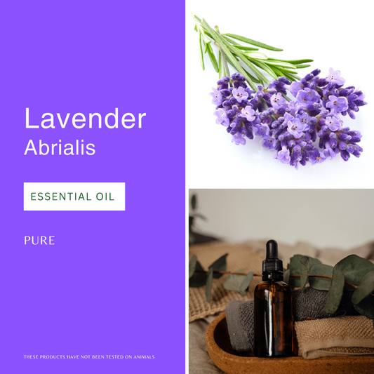 Lavender abrialis Essential Oil