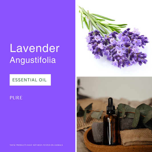Lavender Angustifolia Essential Oil