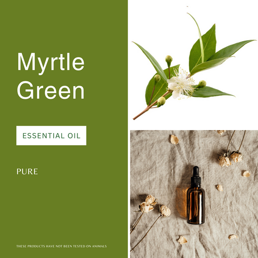 Myrtle Green Essential Oil