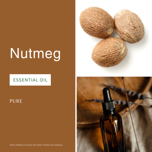 Nutmeg Essential Oil