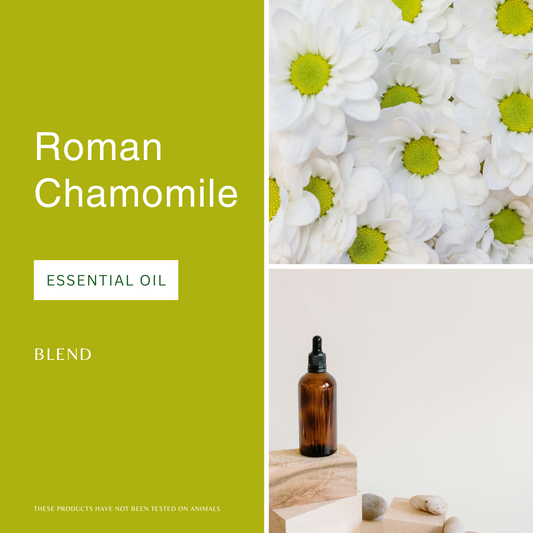Roman Chamomile Essential Oil (Blend)