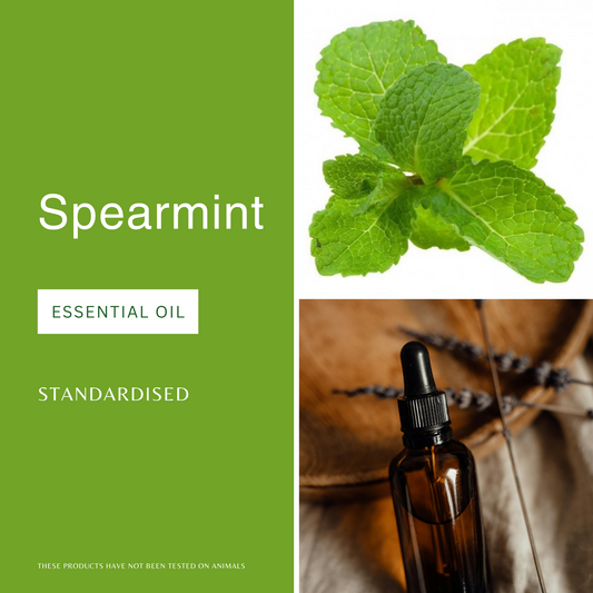 Spearmint Essential Oil