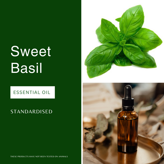 Basil Essential Oil