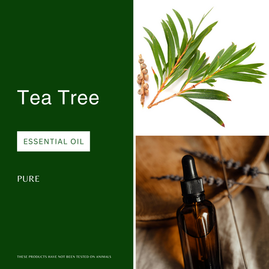 Tea Tree Essential Oil