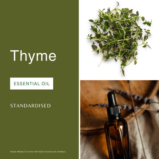 Thyme Essential Oil
