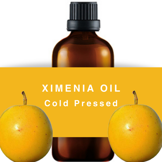 Ximenia Seed Oil - Cold Pressed