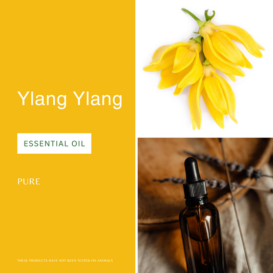 Ylang Ylang Essential Oil